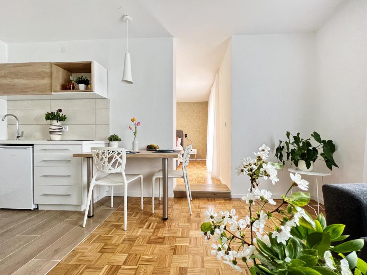 Novigrad Istria Apartments Valerian מראה חיצוני תמונה